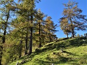 Anello del PIZZO BADILE (2044 m) da Piazzatorre l’8 ottobre 2020 - FOTOGALLERY
